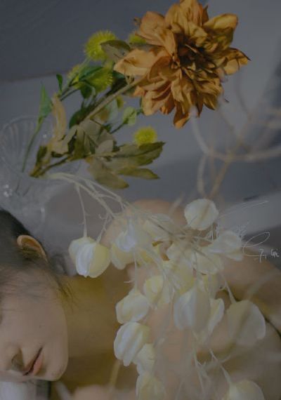 华丽的外出无删减版_电视剧完整版在线观看