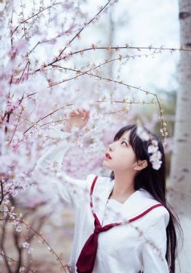 完美世界在线观看免费完整观看_HD高清电影在线